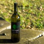 sauvignon blanc