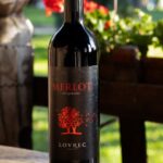 merlot