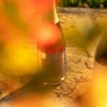 Pino gris sparkling