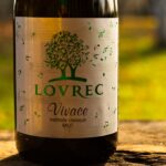 Vivace sylvaner
