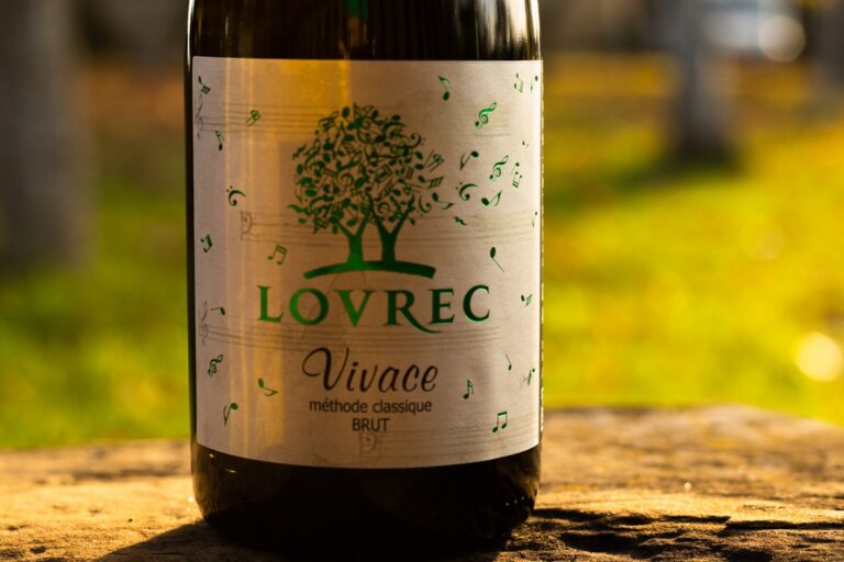 Vivace sylvaner