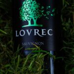 Sauvignon podsjeća na nešto zeleno