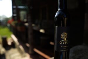 Graševina selected berry harvest wine, Gold Medal at Vino Slovenija Gornja Radgona BIO 2026, Vino Lovrec